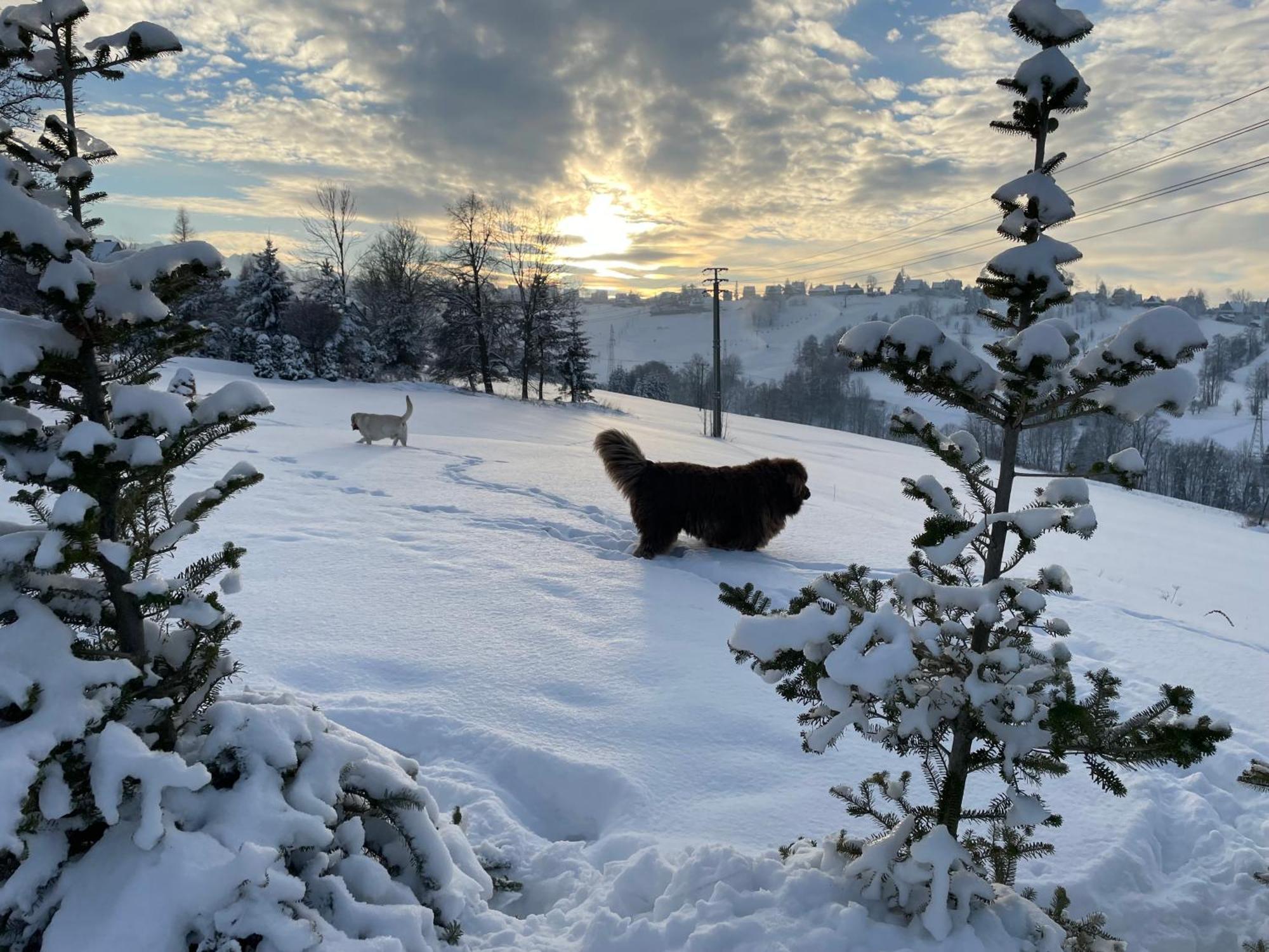 Kierunek Tatry Bukowina Tatrzanska